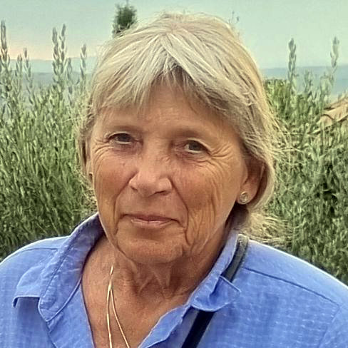 Anne-Vibeke van Komen
